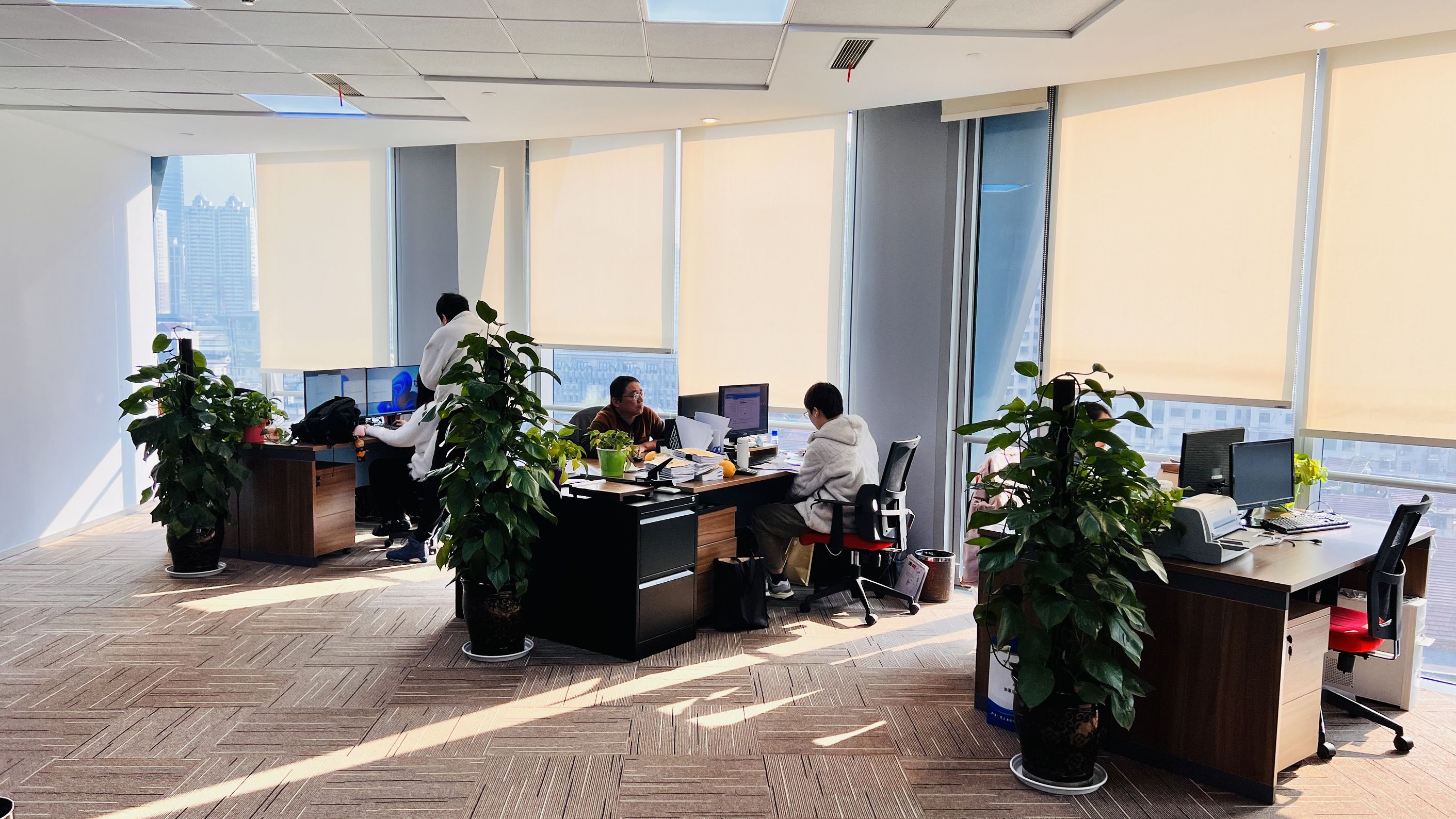 崇明经济园区中外合资董事会席位