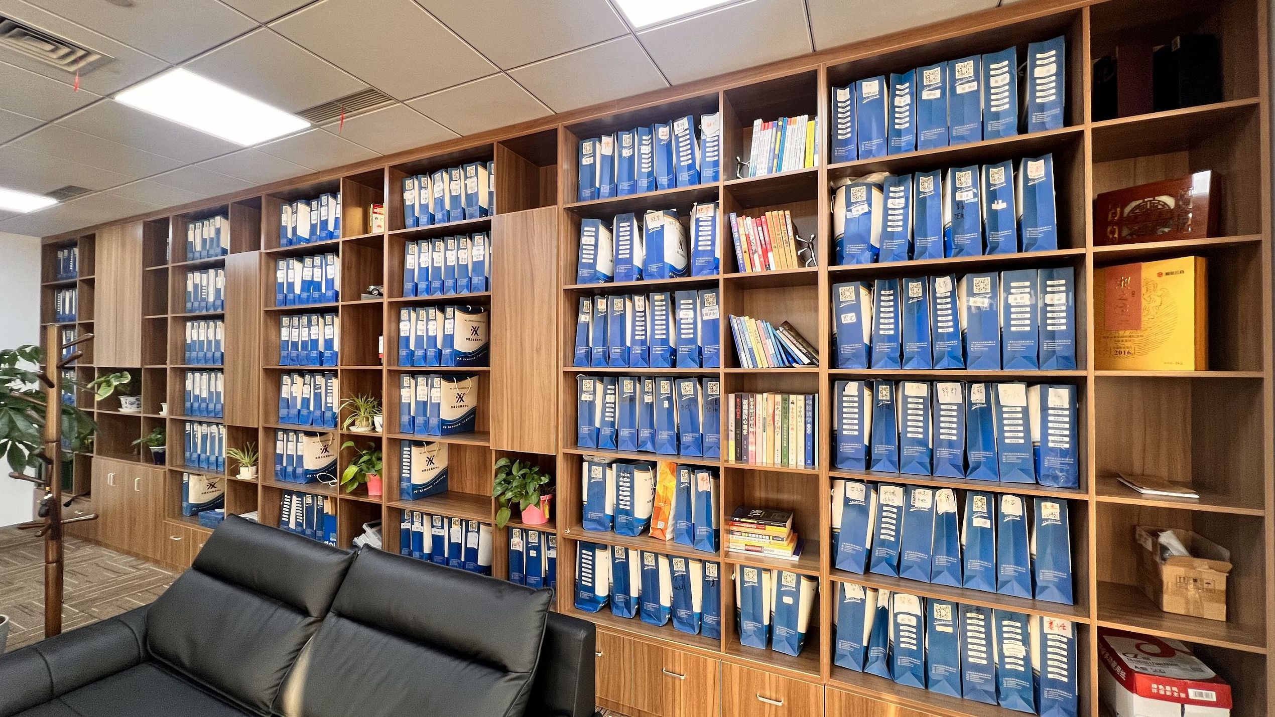 崇明园区公司设立时如何利用“电子营业执照”简化后续流程？