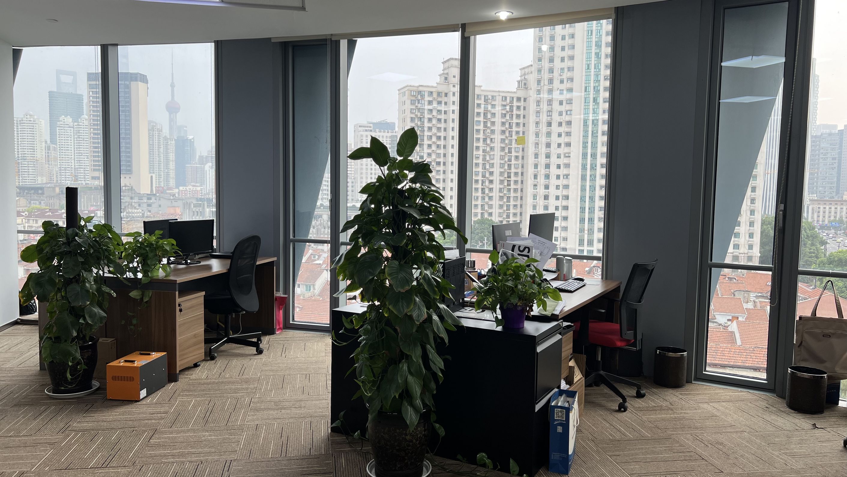 新发展空间：崇明园区的打开